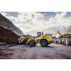  Mittelradlader Liebherr Radlader L 546 12466494